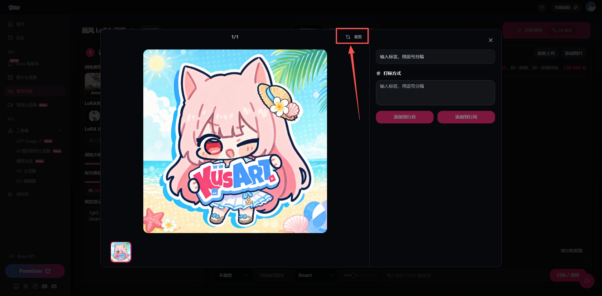 Crop a training image
