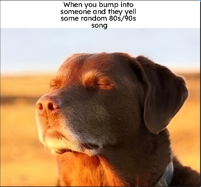 Cooked dog clip captioned as a resigned acceptance macro