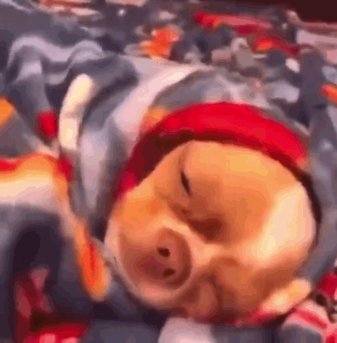 Beispiel eines lustigen Hunde-Memes, ein zufriedener Hund eingewickelt in eine warme Decke
