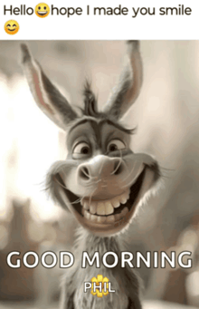 Mème bonjour avec un chat mignon et une légende de salut « good morning »