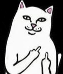 가운뎃손가락 밈. 능글맞게 웃는 흰 만화 고양이가 양쪽 가운뎃손가락을 들어 올리고 있다